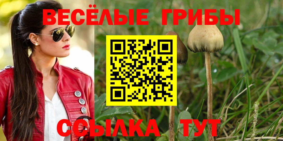 Псилоцибиновые грибы Psilocybe  Вход с VPN  Асбест  Псилоцибиновые грибы Magic Shrooms 